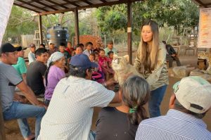 Participants inspecting a jaguar model toy