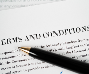 Terms and conditions for Chevening Scholars - bilaterals [PDF] 